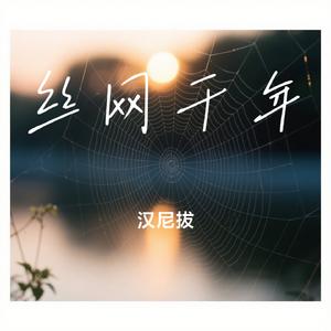 丝网千年