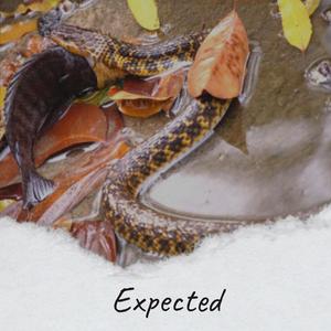 Expected