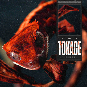 TOKAGE