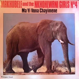 Ndzi Ta Famba Na Mapatu