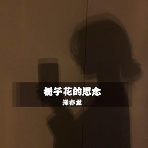 栀子花的思念(DJ版)