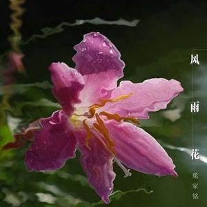 风雨花 (正式版)