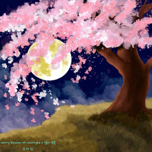 달과 벚꽃