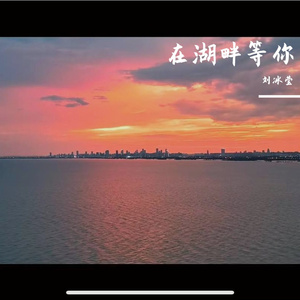 在湖畔等你