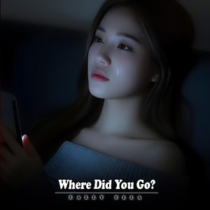 Where Did You Go?