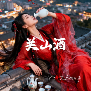 关山酒(DJ版)