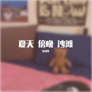 夏天 傍晚 沙滩