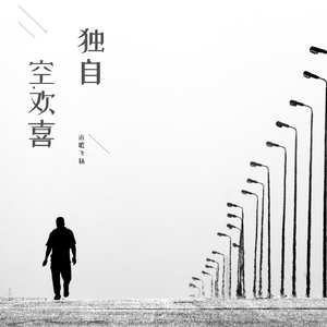 独自空欢喜（伴奏）
