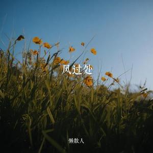 风过处