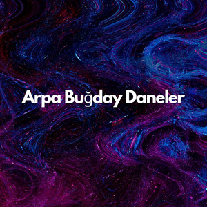 Arpa Buğday Daneler