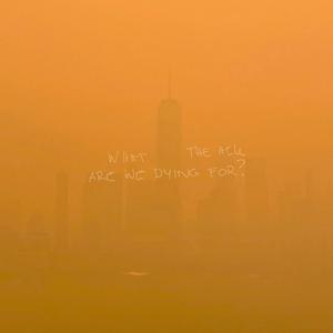 WHAT THE HELL ARE WE DYING FOR ?