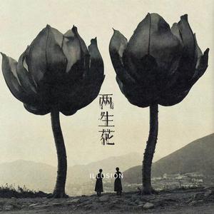 两生花 Illusion (Without Vocal)