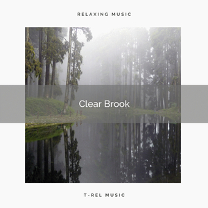 Whispering Brook Tunes for Perfect Relax