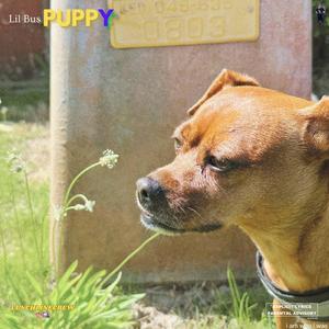 CATHERINE ZETA-JONES