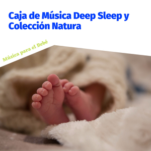 Dormirse Rápidamente con Naturaleza Relajante