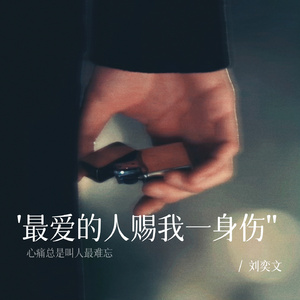 最爱的人赐我一身伤