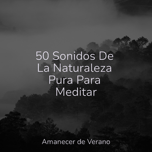 Elevando Nubes en Vuelo