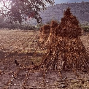 Jamás Te Voy a Olvidar