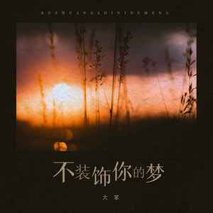 不装饰你的梦