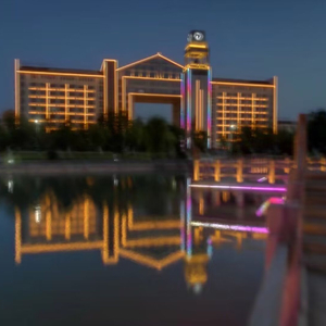 蹲在校门口数羊