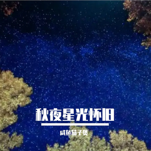 秋夜星光怀旧 伴奏
