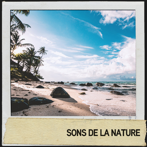 plage de babillage