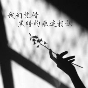 我们凭借黑暗的痕迹相认