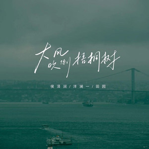 大风吹倒梧桐树（致敬在外漂泊的人）