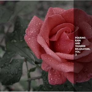 Sparkling Light Spring Rain