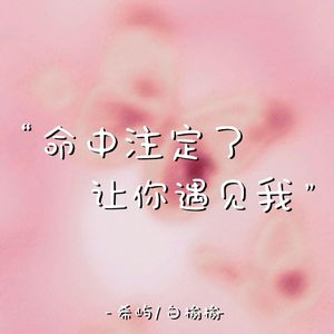 命中注定了让你遇见我