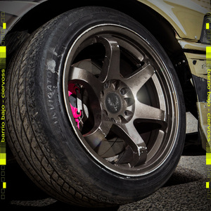 EL ARTE DE LOS CANIS