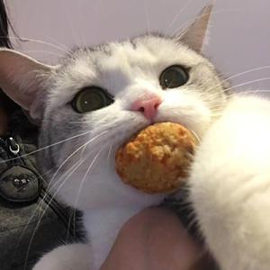 因为有你（翻自小松未步）