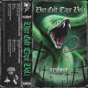 V.S.K (Vice Side Kartell)