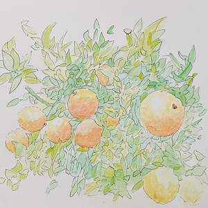 face first in the dirt