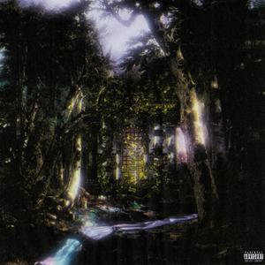 PRINT (feat. Minatti & blt)