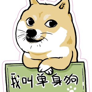 姐姐说（现场版）