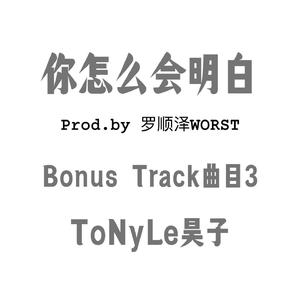 你怎么会明白伴奏 (伴奏)