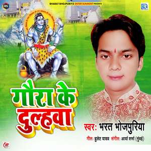 Gajab Talent Ba Dulahwa Mein