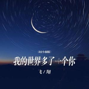 我的世界多了一个你 (DJ版)