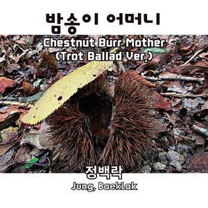 밤송이 어머니 Chestnut Burr Mother (Trot Ballad Ver.)
