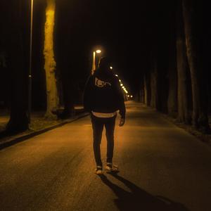 Fremd (feat. 53anbu)