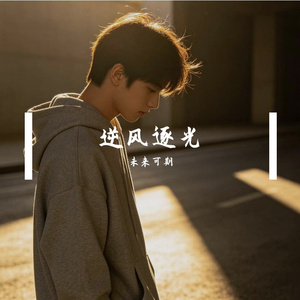 逆风逐光