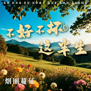 不好不坏这半生