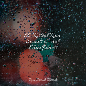 Avian Chirps, Meadow, Noon