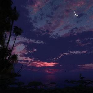 夜晓
