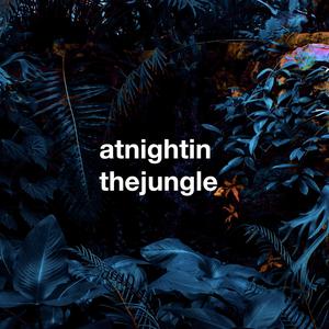 atnightinthejungle