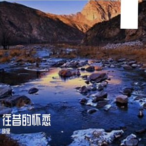 遗书中的孤独哀弦