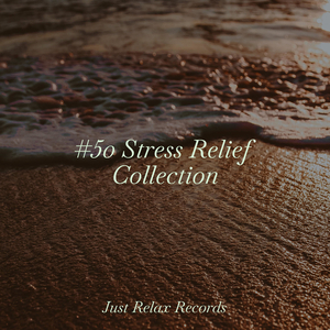 Resilient Whispers in Time