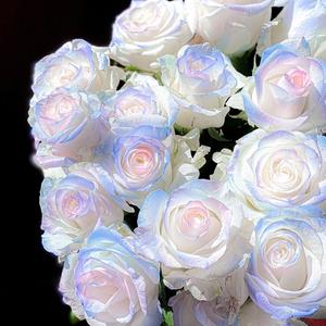 威风堂堂的恋爱裁判在东北玩泥巴