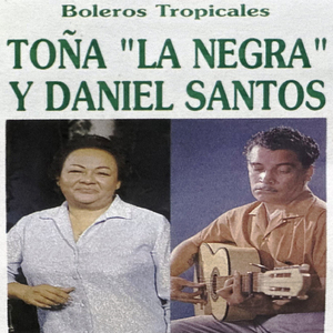 Palmera